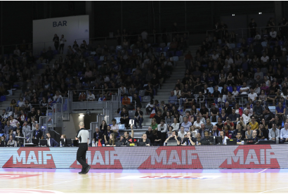 logo MAIF overzoom - exemple bord de stade