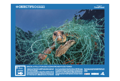 Poster représentant une tortue coincée dans des filets de pêche