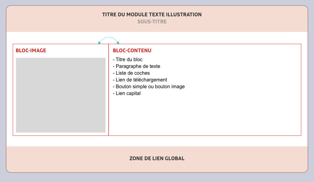img-structure-texte-illustration.png
